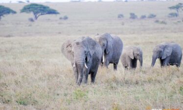 zanzibar safari trip with african safari group