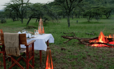 tanzanian honey trip with african safari