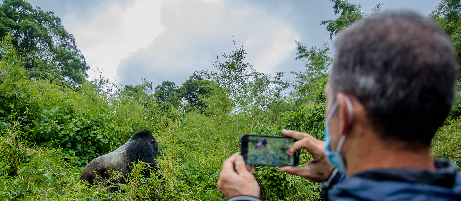 exciting gorilla trekking in rwanda with african safari group